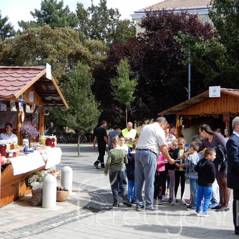 Helyi Értékek Startja 108